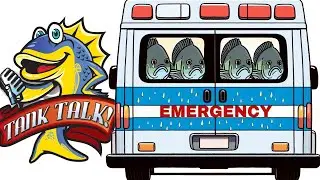 This Is An Emergency!! What Will You Do?