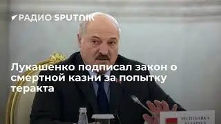 Лукашенко подписал закон, допускающий смертную казнь за покушение на теракт