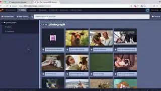 Zesty.io Manager Overview