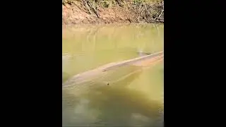 ថ្ងៃនេះបូមស្រះក្បែរផ្ទះដើម្បីចាប់ត្រីម្ដង