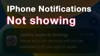 IPhone Notifications Not Working After Update / IPhone Notifications Problem