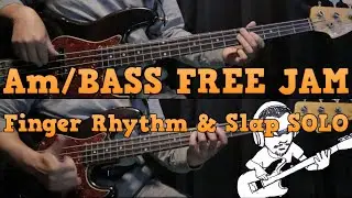 Am/BASS FREE JAM/Finger Rhythm & Slap SOLO