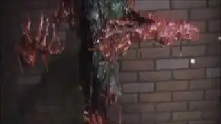 Zombie Swamp Critter
