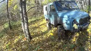 forest LUAZ