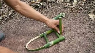 Creative Awesome Trap to Catch the Jungle Quail Bird in the Forest Work Very Well 100%
