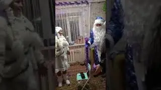 Поздравление новогоднее,, семья Шаповаловых,,2024 Дед мороз и снегурочка.