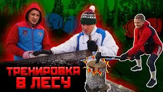 Мощная тренировка в лесу. Профессиональный бокс. Как правильно пилить? Пила 