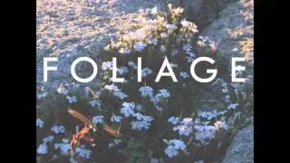 foliage
