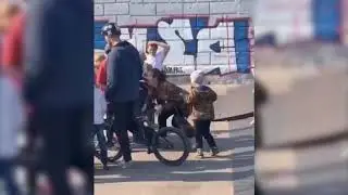 Взбесившаяся мамаша со скейтом напала на детей в парке