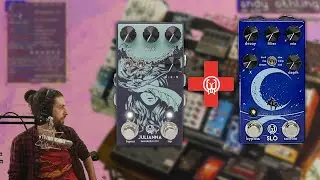 30 minutes of playing with Walrus Audio SLO and Julianna