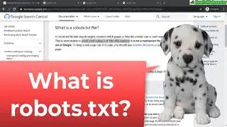 What is Robots.txt? How to Check if Your Website Has Robots.txt?