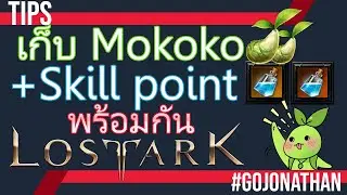 เก็บ Mokoko และ Skill point พร้อมกันทำยังไง?? - Lost ark