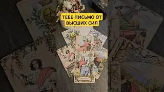 Тебе письмо от Высших Сил! #таро #гадание #tarot #гаданиеонлайн #гаданиетаро  #shorts