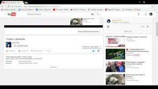 Стрим  с донатом