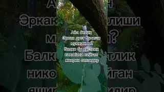 #rek #uzb #jannatga #oshiqlar #obuna #bolin хулоса узиздан достларим сог болилар