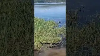 вид на гору Волчиха, р. Чусовая