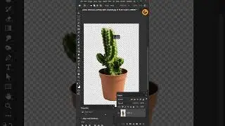 How to Extend the Part of Image in Photoshop Tips & Tricks |  
