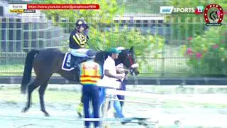 Hippisme - 19ème journée - La 5ème course en direct