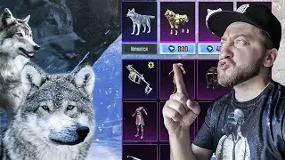 В ПУБГ МОБАЙЛ ДОБАВИЛИ ВОЛКОВ😮! ЧТО? ЗАБРАЛ ПИТОМЦА И НОВЫЙ ВЕКТОР | PUBG MOBILE