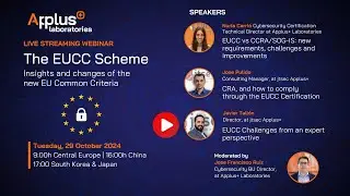 EUCC Challenges from an expert perspective