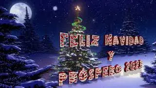 Christmas PJF DRONE