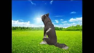 //Blue//WildCraft meme//