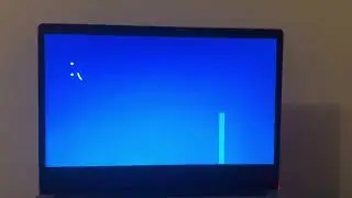 Wil To Win Pera O Kahon Screaming has BSOD