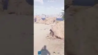 Rust console when your to good! 