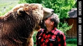 Русские кормят медведя с рук