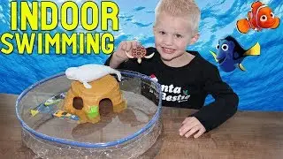 My Own Water Turtle!