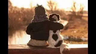 Hugging animals.