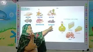 3 2 3 Fats Video Lecture