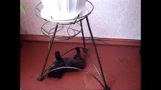 Бусик Акробатический этюд