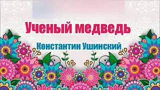 Ученый медведь. Константин Ушинский. Аудио сказка
