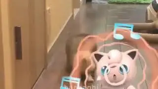 Jigglypuff attacks weasel