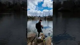 MANHATTAN, NEW YORK: Street Photography w/ Canon 5D Mark II in Central Park, NYC, USA 