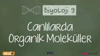 Canlılarda Organik Moleküller