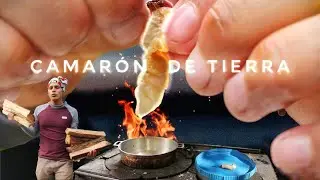 Gusano de tierra comestible (kusos) 🦐🐛