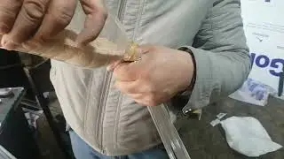 Стекло покед бошланди