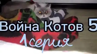 Война котов 5 I 1 серия