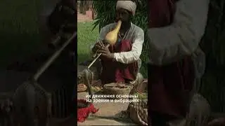 Как работает заклинание змей 🤯
