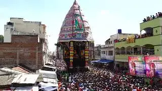 ஸ்ரீ அர்தநாரீஸ்வர் வைகாசி விசாகத் தேர்த்திருவிழா! திருத்தேர் வடம் பிடித்தல்