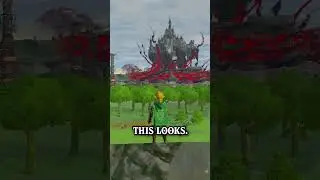 This is what TOTK looks like without FOG