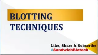 Blotting Techniques and its different types #Southern Blotting #Northern Blotting #Western Blotting