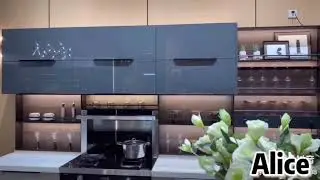 Stainless Steel Cabinet--Alice (ENTIVE)