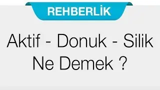 Aktif - Donuk - Silik Ne Demek ?