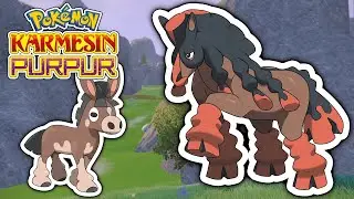 Pampuli und Pampross Fundort + Entwicklung | Pokemon Karmesin und Purpur