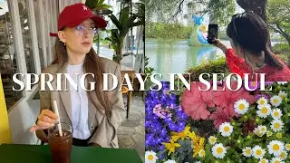 seoul in spring, cafe hopping, fashion, attempting to get back on track | VLOG (Kor/Eng sub)