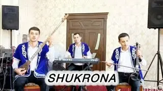 Shukrona Toir Asqar ijodlaridan ,#jonlinavolar #rizanova #tanbur #shortsmusic #mumtoz_navolar #jonli