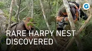 Animal River Challenge: Guyana's Hidden Creatures | Full Nature Documentary
